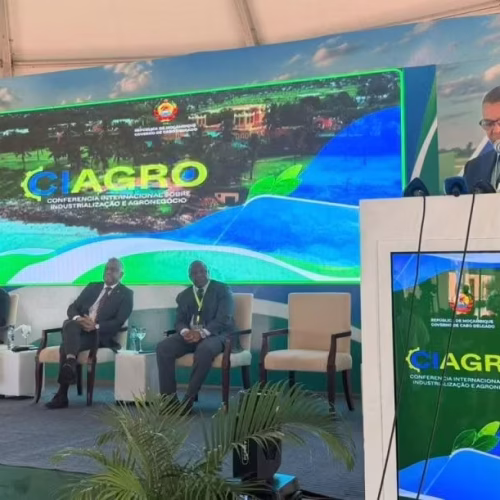 ADIN lidera projecto de 250 milhões de dólares para transformar o norte de Moçambique
