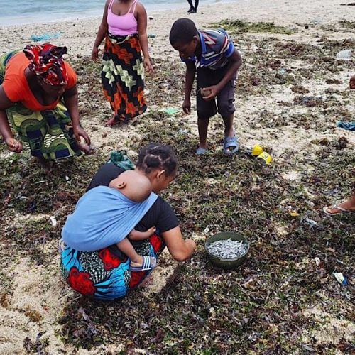 Aparecimento anômalo de peixes levanta alerta de saúde em Pemba