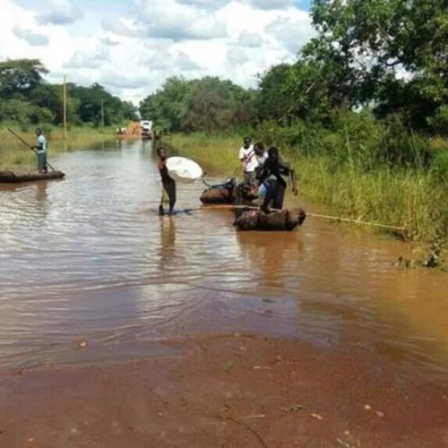 Niassa: Ataques de crocodilos no rio Lúrio provocam mortes em Cuamba