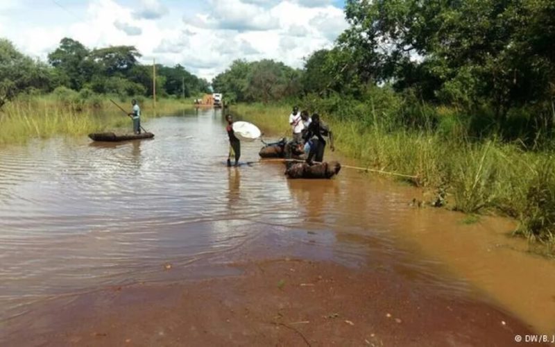 Niassa: Ataques de crocodilos no rio Lúrio provocam mortes em Cuamba