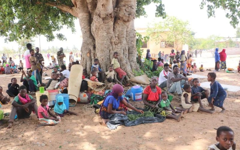 Entrada de deslocados de Memba aumenta pressão humanitária em Cabo Delgado