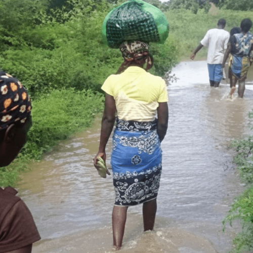 Chuvas persistentes destroem casas e machambas em Nhamatanda