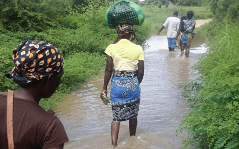 Chuvas persistentes destroem casas e machambas em Nhamatanda