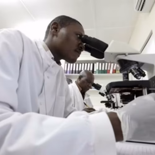 Cientistas tanzanianos criam tecnologia genética contra a malária