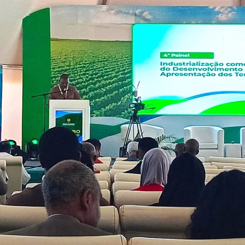 Conferência em Pemba discute industrialização e agro-negócio