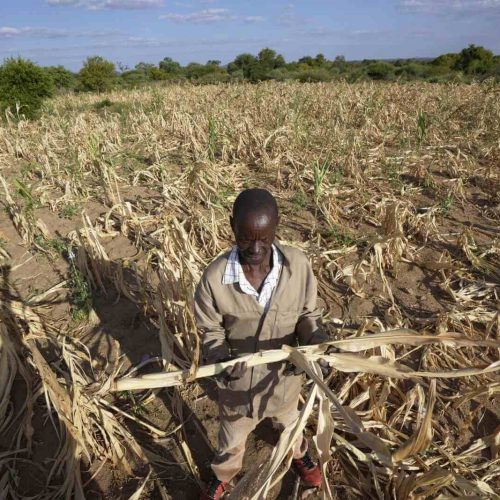 Crise alimentar agrava-se e afecta milhares de famílias em Muanza