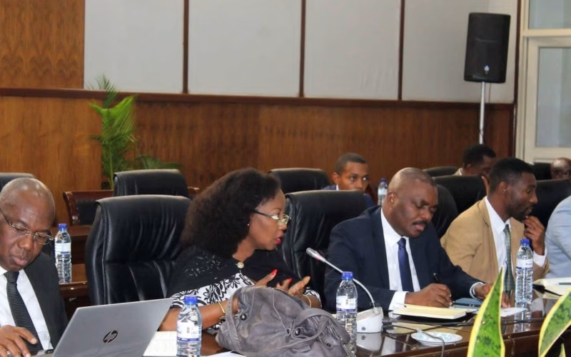 Diálogo nacional recebe contribuições de professores e jovens em Maputo
