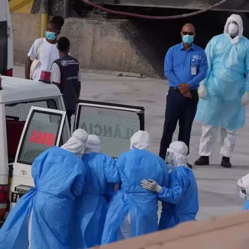 Especialista afirma que pandemia de hantavírus “é baixo”