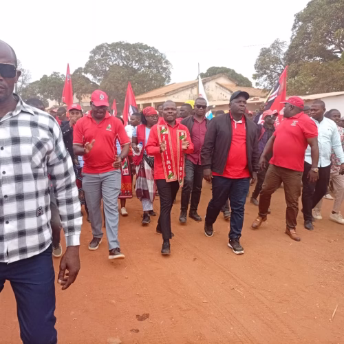 Frelimo promove marcha pela unidade nacional em Muiane
