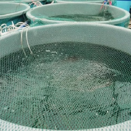 Gaiolas piscícolas vão auxiliar recuperação da aquacultura em Sofala