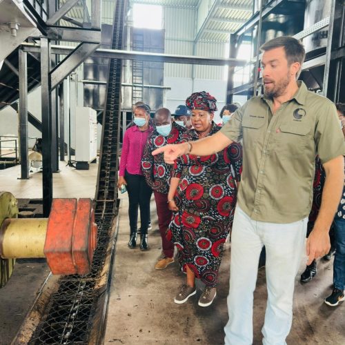 Gaza se torna pioneira na produção de biocombustível com casca de castanha