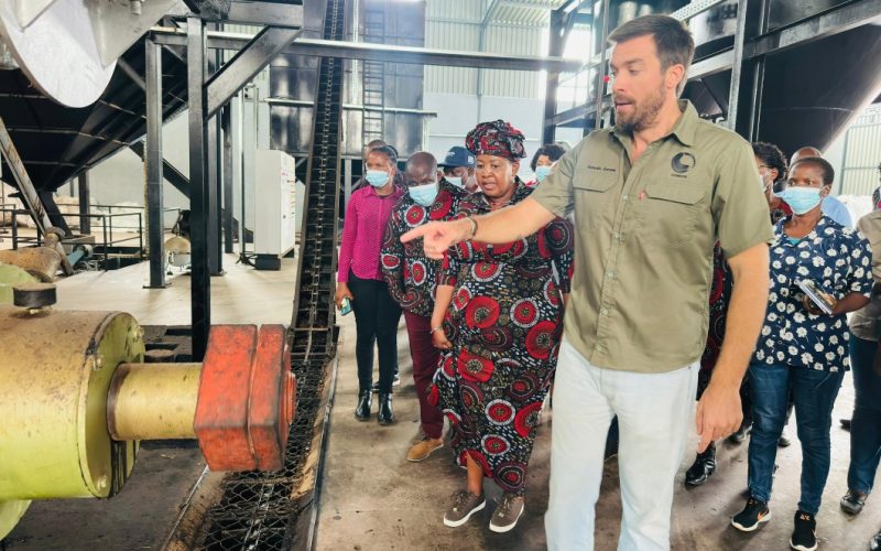 Gaza se torna pioneira na produção de biocombustível com casca de castanha