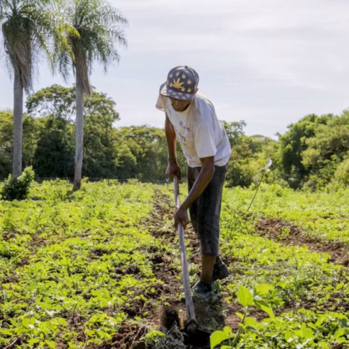 Gorongosa prevê queda na produção agrícola devido a mudanças climáticas