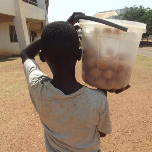 Governo de Moçambique reforça combate ao trabalho infantil