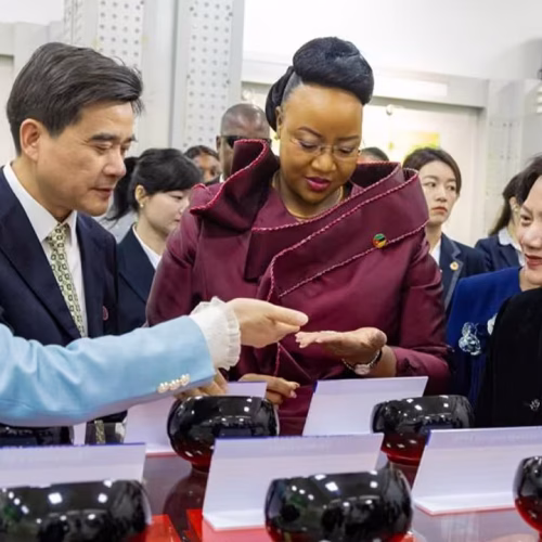 Gueta Chapo busca experiência chinesa para impulsionar produção de arroz em Moçambique