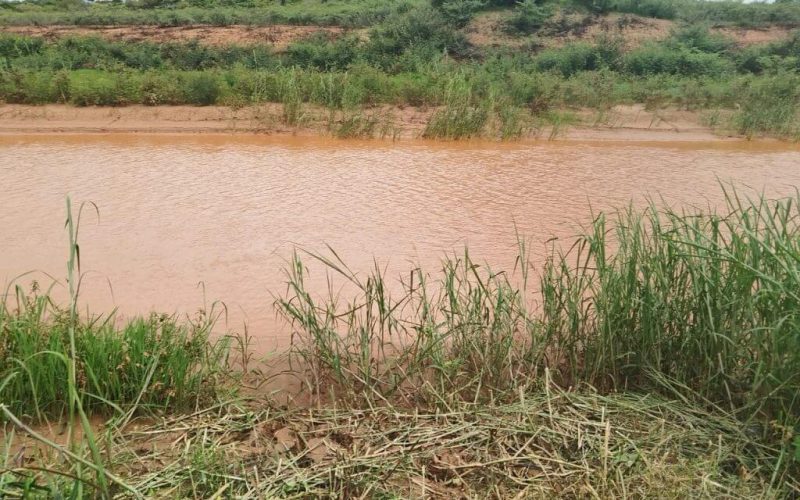 Holanda investe 25 milhões de euros para restaurar rios de Moçambique