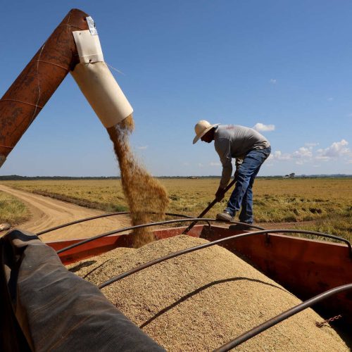 ICM passa a ser o único responsável pela importação de cereais no país