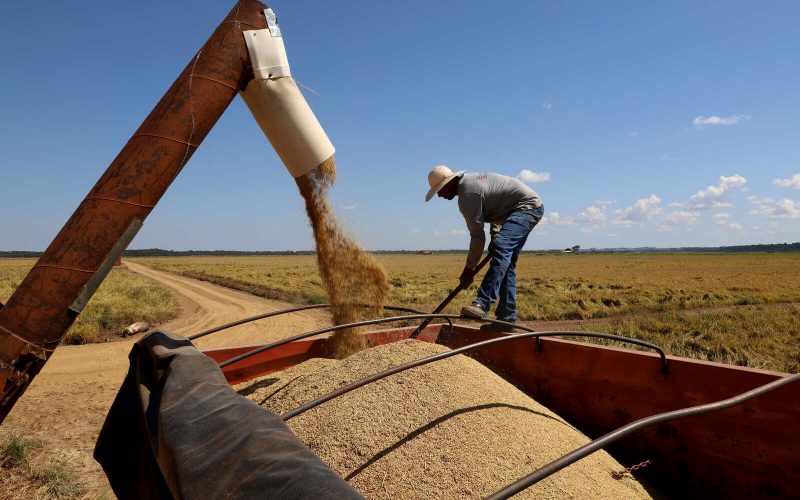 ICM passa a ser o único responsável pela importação de cereais no país