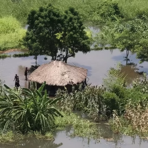 Inundações em Chemba afectam 6 mil hectares e famílias camponesas