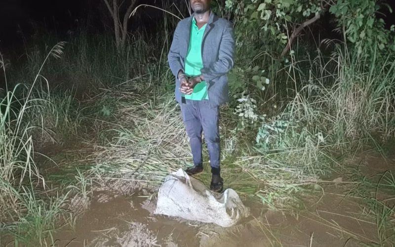 Jovem de 19 anos detido por planear rapto e morte do próprio irmão em Malema