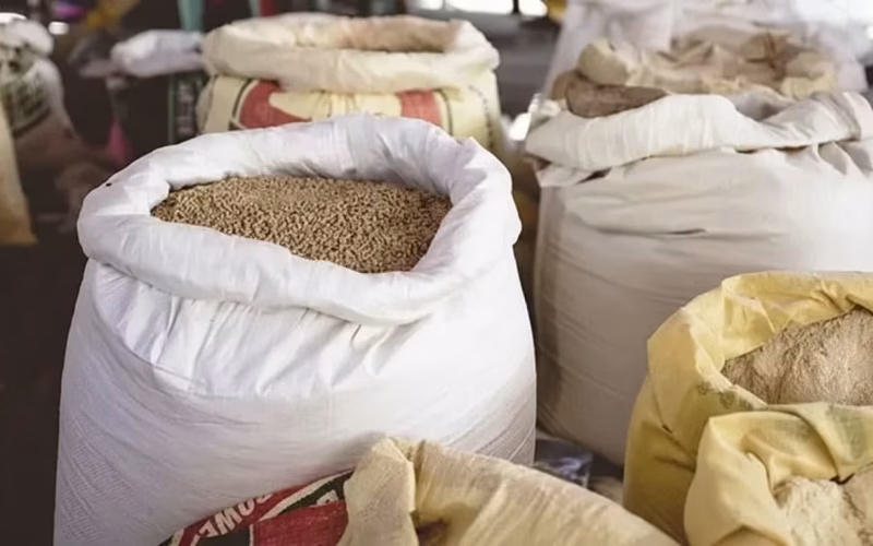 Maputo precisa de 75 toneladas de sementes para reactivar agricultura