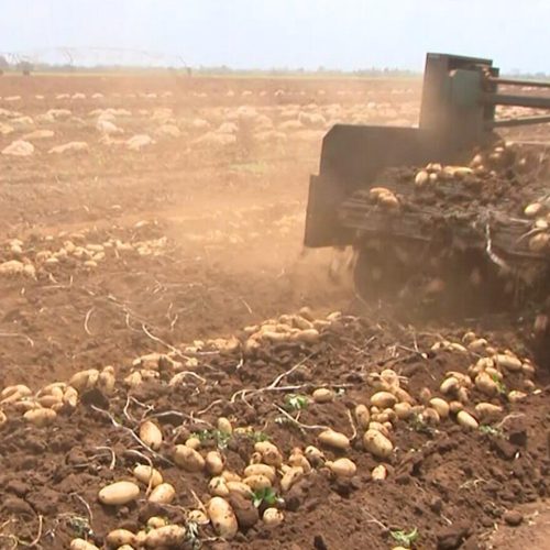 Marara intensifica processamento agrícola para combater escassez alimentar