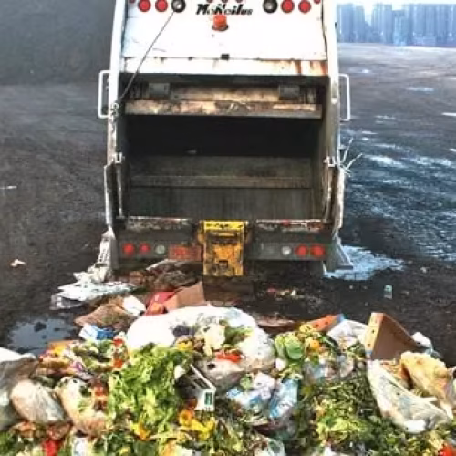 Mil milhões de toneladas de comida são desperdiçadas anualmente no mundo