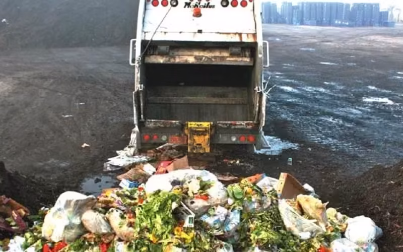 Mil milhões de toneladas de comida são desperdiçadas anualmente no mundo