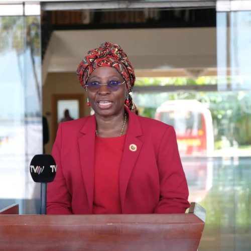 Ministra dos Negócios Estrangeiros de Moçambique cumpre visita de trabalho à Áustria