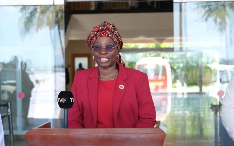 Ministra dos Negócios Estrangeiros de Moçambique cumpre visita de trabalho à Áustria
