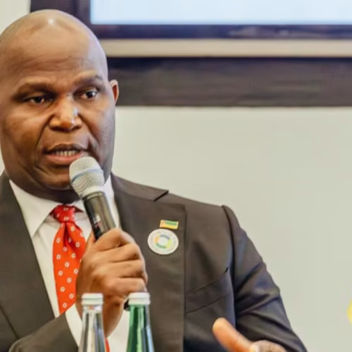Multinacionais anunciam planos de investimentos em Moçambique