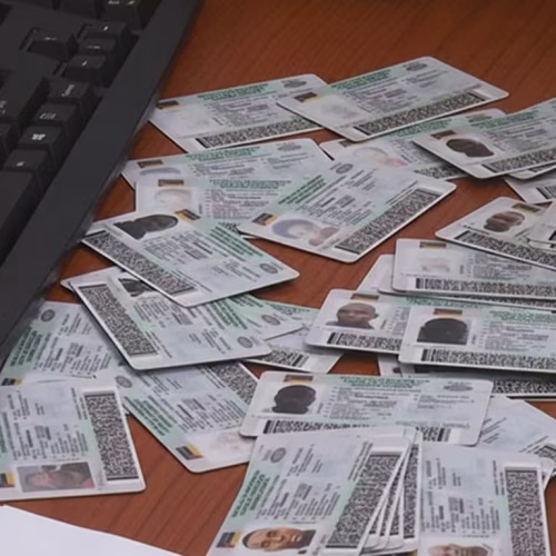 Normalização na emissão de cartas de condução até Março