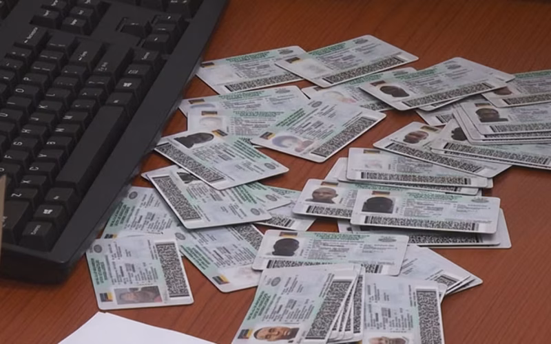 Normalização na emissão de cartas de condução até Março