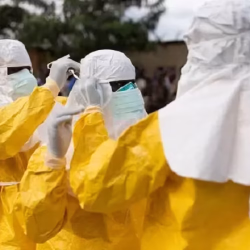 Nova variante do ébola já provocou 131 mortes em África
