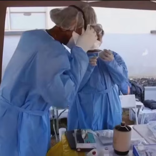 OMS prevê vacina contra ébola apenas dentro de nove meses