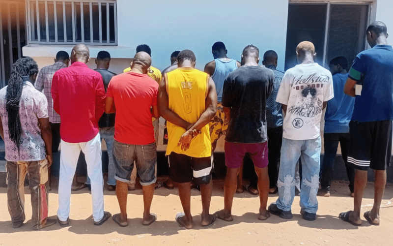 PRM desmantela quadrilhas de tráfico de drogas e roubo de cabos eléctricos em Pemba