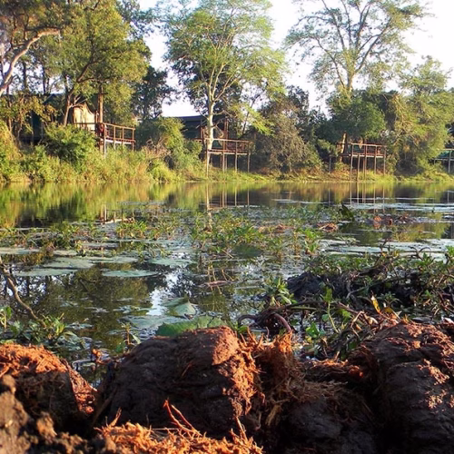 Parque Nacional do Limpopo suspende turismo devido a inundações