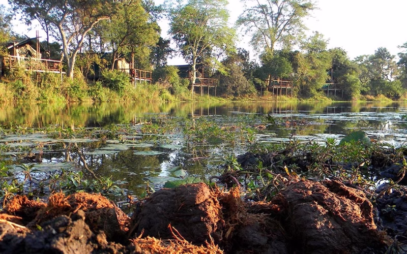 Parque Nacional do Limpopo suspende turismo devido a inundações