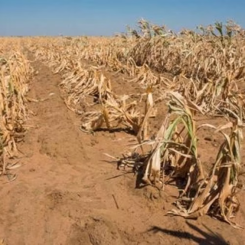 Secas prolongadas ameaçam província de Tete, alerta estudo climático
