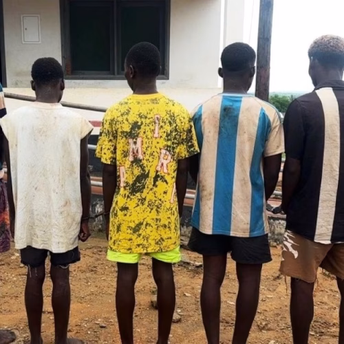 Seis jovens detidos por homicídio e vandalismo em Inhambane