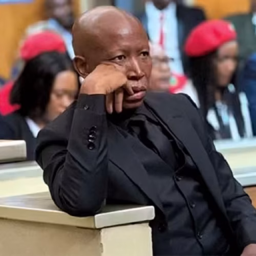 Sentença de Malema gera polémica na África do Sul