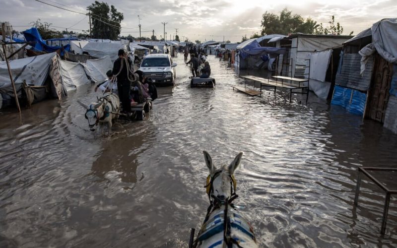 Tempestade polar na Faixa de Gaza provoca pelo menos 14 mortos