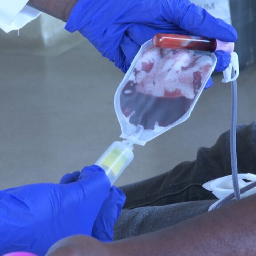Unidades Sanitárias de Maputo enfrentam grave escassez de sangue