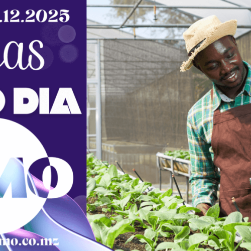 Vaga de emprego do dia 11 de Dezembro de 2025 (30 vagas)