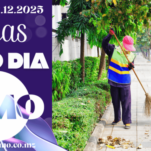 Vaga de emprego do dia 12 de Dezembro de 2025 (29 vagas)