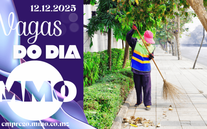Vaga de emprego do dia 12 de Dezembro de 2025 (29 vagas)