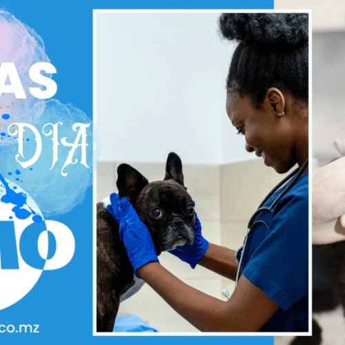 Vaga de emprego do dia 24 de Março de 2026 (18 vagas)