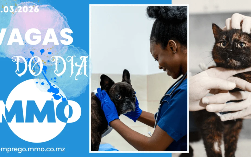 Vaga de emprego do dia 24 de Março de 2026 (18 vagas)