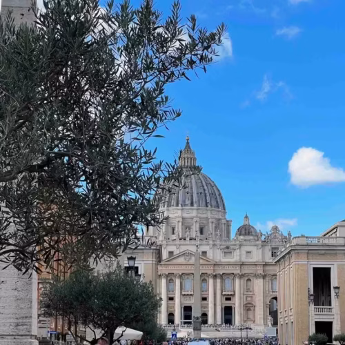 Vaticano critica “Cura Gay” e defende inclusão de pessoas LGBTQIAPN+